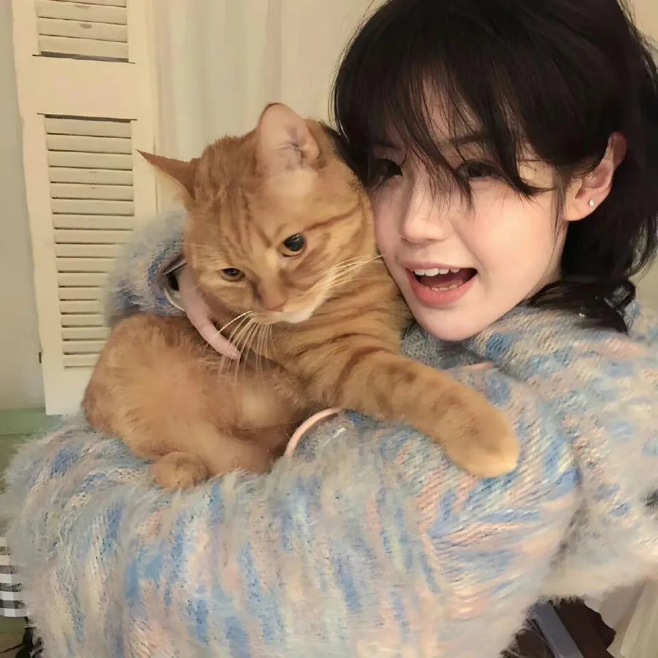 我有一个聚宝盆