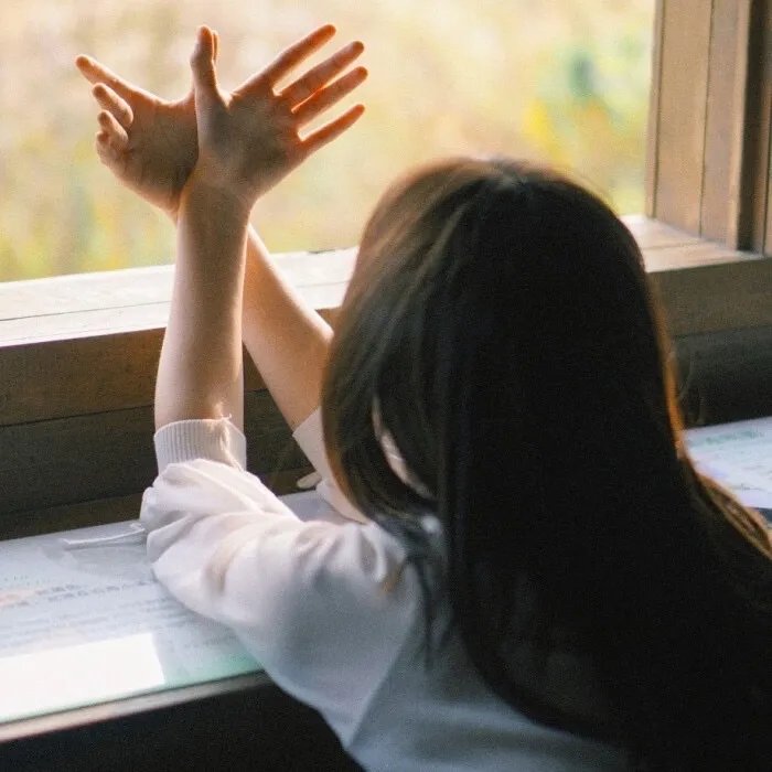 数码宝贝:最后的进化